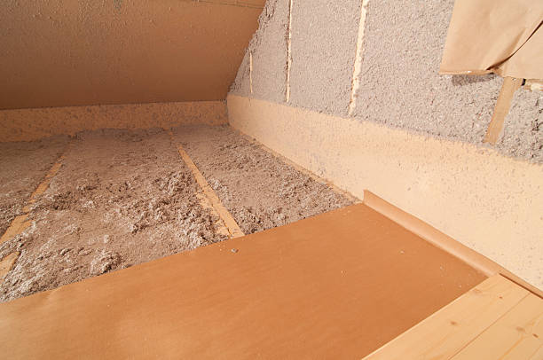 Best Insulation Removal  in Riverside, CT